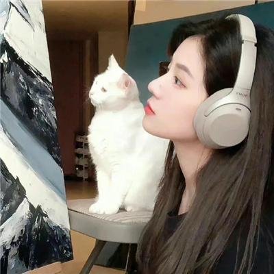 梦之森林