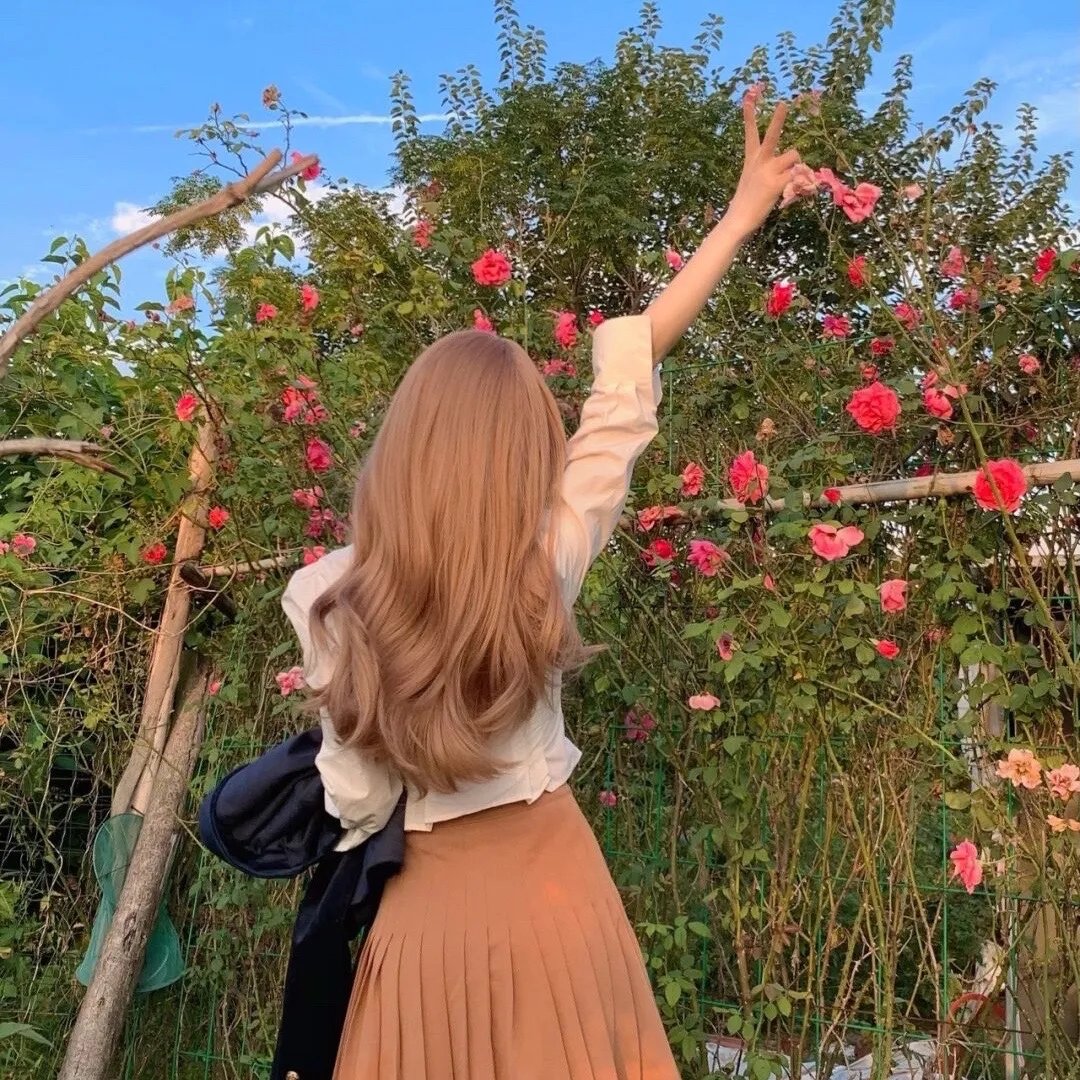 莲花